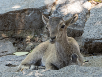 Similar image 21828008