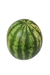 Similar image 21828009