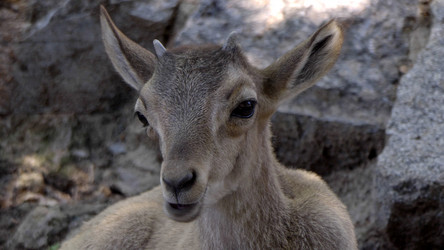 Similar image 21828010