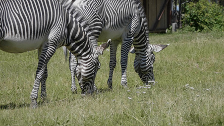 Similar image 21828012