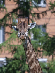 Similar image 21828014