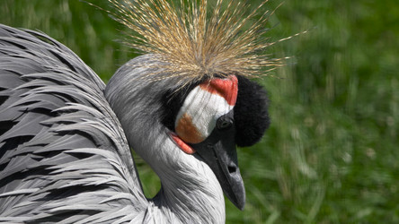 Similar image 21828015