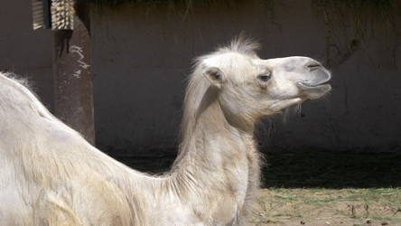 Similar image 21828016