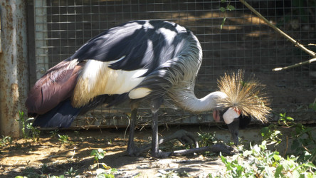 Similar image 21828018