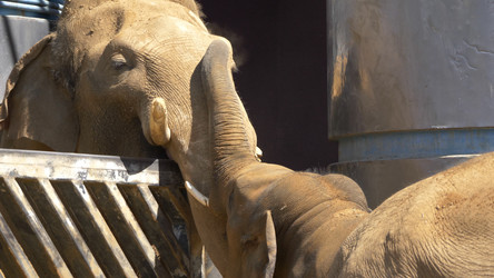 Similar image 21828019