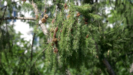 Similar image 21828023