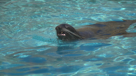 Similar image 21828024