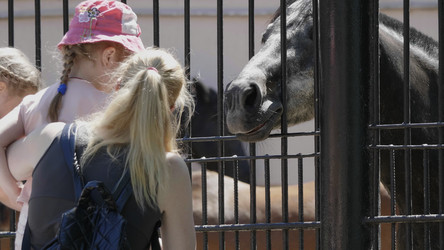 Similar image 21828025