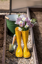 Similar image 21815920