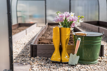 Similar image 21815930