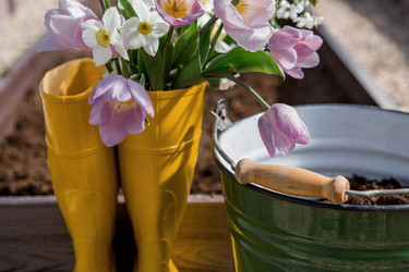 Similar image 21815940