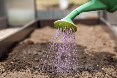 Similar image 21815943