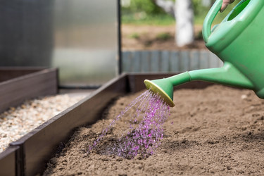 Similar image 21815945