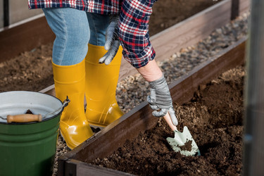 Similar image 21815950