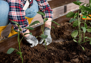 Similar image 21815959