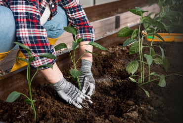 Similar image 21815961