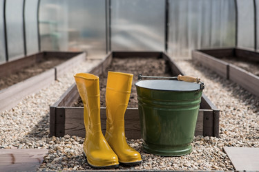 Similar image 21815962