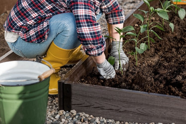 Similar image 21815969