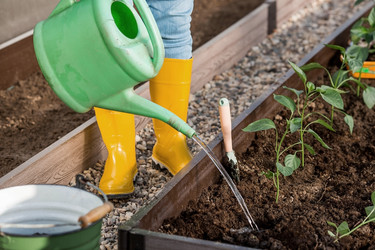 Similar image 21815972