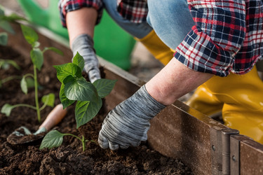 Similar image 21815975