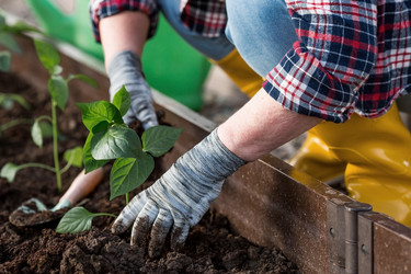 Similar image 21815976