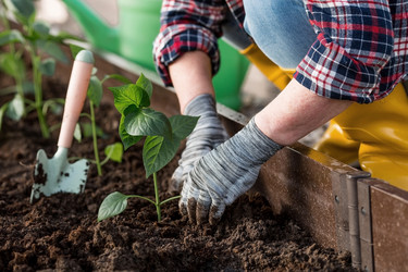 Similar image 21815978