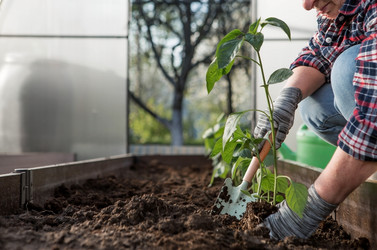 Similar image 21815980