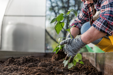 Similar image 21815981