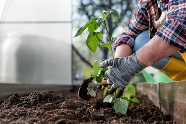 Similar image 21815982