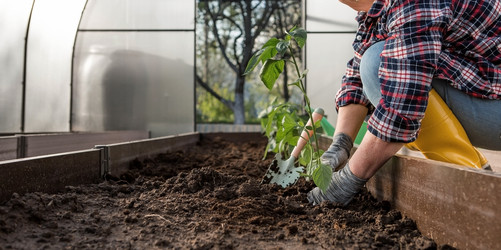 Similar image 21815983