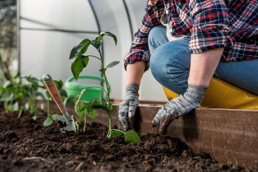 Similar image 21815985