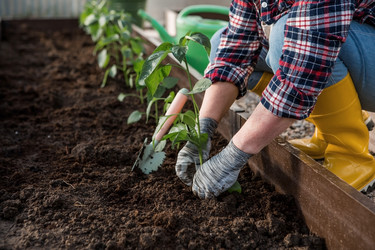 Similar image 21815987