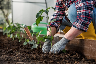 Similar image 21815989