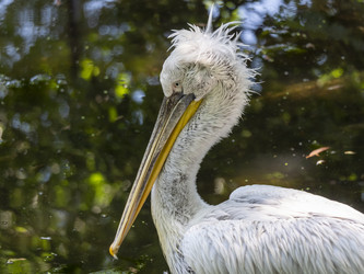 Similar image 21828172