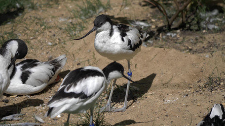 Similar image 21828173