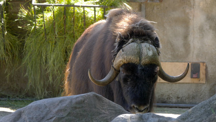 Similar image 21828174