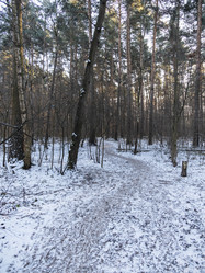 Similar image 21828175