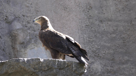 Similar image 21828176