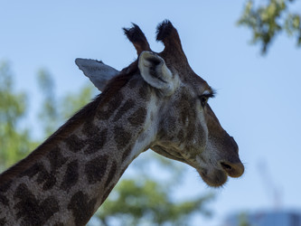 Similar image 21828177