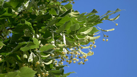 Similar image 21828178