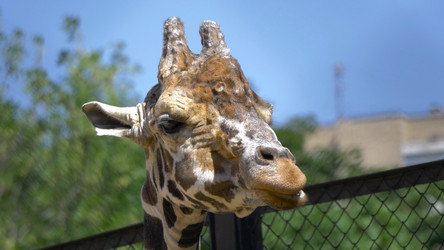 Similar image 21828179