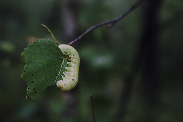 Similar image 21815788