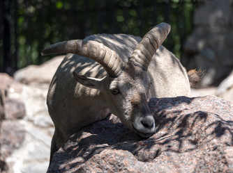 Similar image 21828030