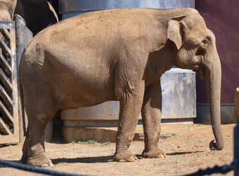 Similar image 21828033