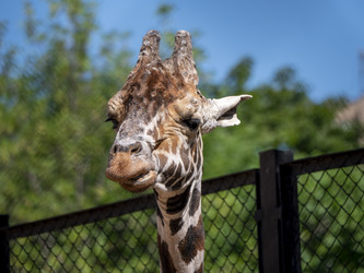 Similar image 21828040