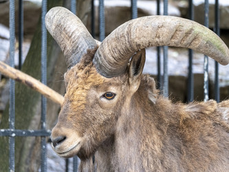 Similar image 21828042