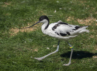 Similar image 21828043