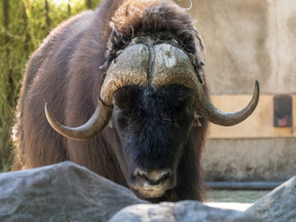 Similar image 21828045