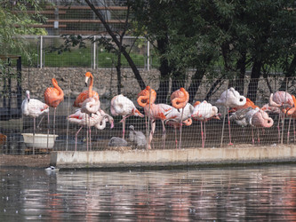 Similar image 21828183