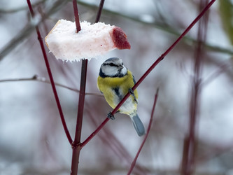 Similar image 21828047